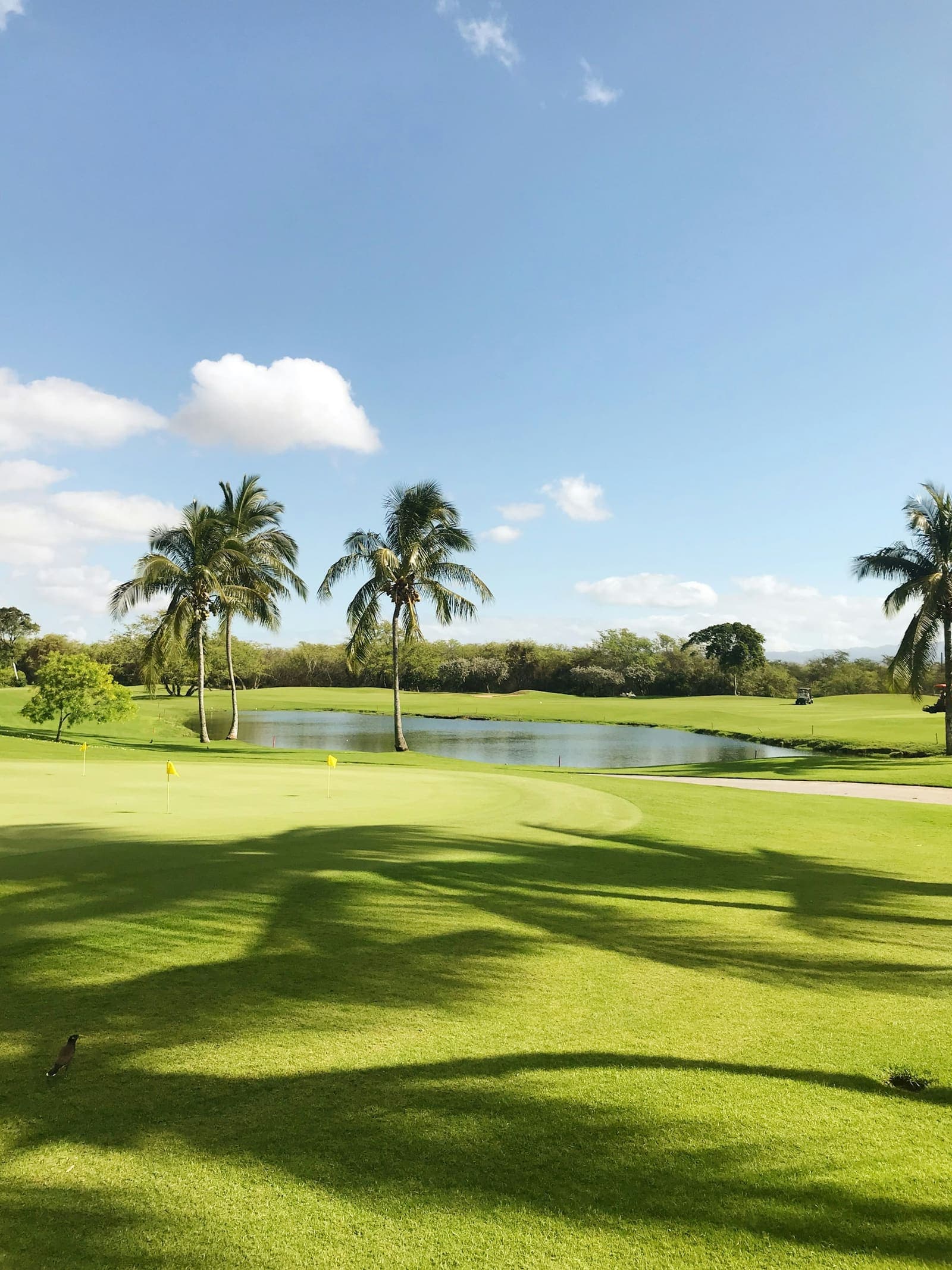 Bayou Links