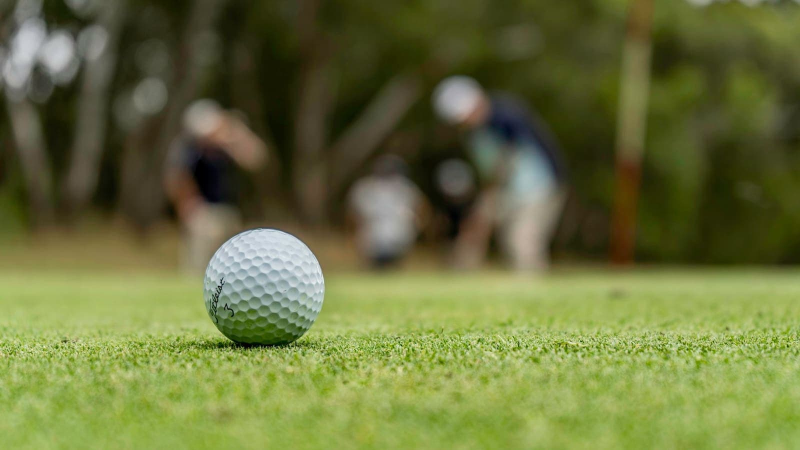 Golf ball on the fairway
